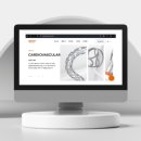 바스코리아 이미지