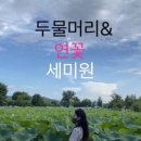 세움내움 이미지
