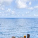 (주)코리아세븐 서초퍼스트점 | 상하이 크루즈 여행 추천 로얄캐리비안 레스토랑 총정리