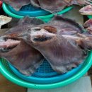 송정할매홍어 이미지