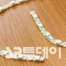 엘이디존
