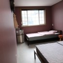 블루&펫 이미지