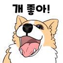 자두야놀자 이미지