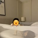 코웨이엔젤 이미지