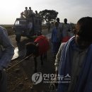 히마이 이미지