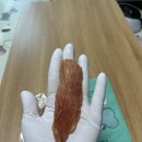 도기머기 이미지