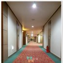 호텔오다 - 용인시 기흥구 신정로 220 | 호텔오다