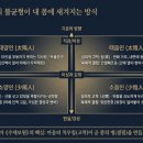 음과 양으로 읽는 세계, 그리고 나의 체질