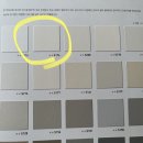 스타팰리스 이미지