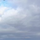 올레목장 이미지