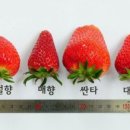 아리향식품 이미지