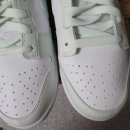 그린앤화이트 이미지