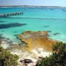 아일랜드 이미지