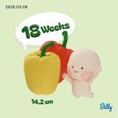 (주)우진푸드 | [임신 15-18주차] 임신초기보다 험난한 중기.. | 토리와 함께한 첫 여행