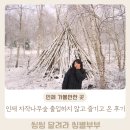 자작나무숲 주차장 | 인제원대리자작나무숲 속삭이는자작나무숲 주차장 및 입산통제 방문후기