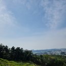 은평구수목장 네이버블로그
