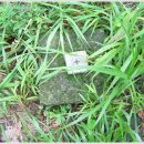 백봉목장 이미지