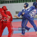 유로태권도 이미지