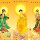 미천면-13 | 四字成語 총정리 ㅁ 356 미차압력계~미타정인