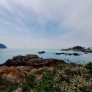 거금도청석오토캠핑장 이미지