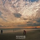 바다와노을 이미지