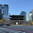 남산 하누리 행복공 | 251114 🍁남산 하늘숲길 | 🍜똠얌쌀국수 맛집 | ☕️캐시미어커피 | 🍂청계천