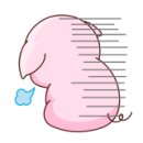 뉴코아뱅뱅 이미지