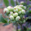 주산농장 이미지