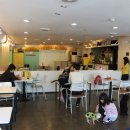 플레이독스 이미지
