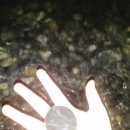 마로니에민박 이미지