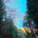 자은초등학교 | [창원] 시루봉 벚꽃 산행 / 시루봉 봄꽃산행 청룡사 등산 코스