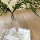 매드와이드 이미지