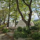 화양동관광농원 이미지