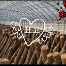 솔터농장 이미지