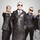 엠티브이11로 이미지