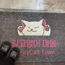 성동장애인무료급식소 | [성수] 이색 데이트ㅣ착한소비ㅣ 서울 고양이 카페 &#34;길고양이 마을&#34; 성수협력점 방문 후기