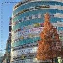 올리다 에스테틱 수원본점