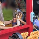 서문시장역(3호선) | 2026 대구 서문 야시장 맛집 후기 _ 더스테이크, 우삼겹숙주볶음면, 홍콩에그와플, 계란빵