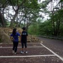 송계솔밭 화장실 이미지