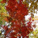 상대농장 이미지