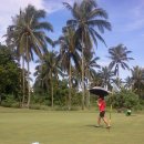 Y골프아카데미 이미지