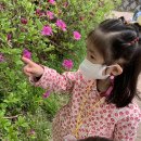 즐거운유치원 이미지