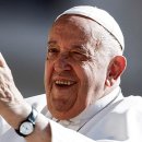 지시태양광발전소 이미지