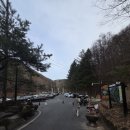 추부문화의집 | 주말 대전 근교 힐링 1순위 만인산 휴게소(휴양림) 숲속 산책 부터먹거리까지 완전 정복 (Feat. 장령산...