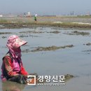 옥구읍 주민센터 경향신문