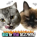 태화강민물장어 이미지