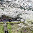 일상속으로 힐링음악회 이미지