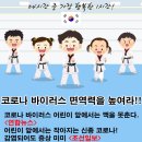 한국체대 아라태권도장 이미지
