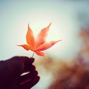 남이섬리베라펜션 이미지