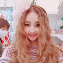 바비쉬폰